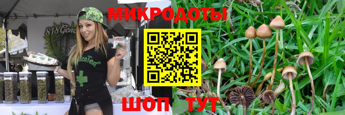 Галлюциногенные грибы ЛСД  Галлюциногенные грибы прущие грибы  Вход с VPN  Новоуральск 